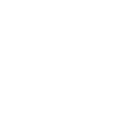 Spelling checking icon